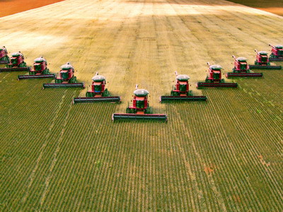 Pericolul agriculturii intensive