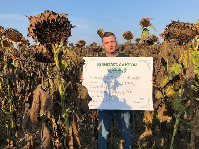 Hibrizii de Floarea Soarelui Pioneer - Agro Turdean Turdean Emil