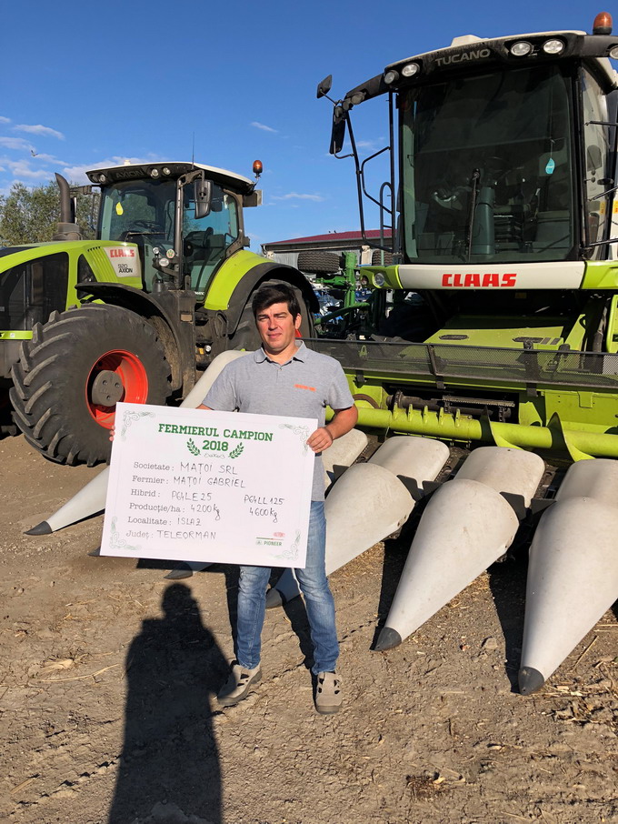 Hibrizii de Floarea Soarelui Pioneer - Matoi Gabriel