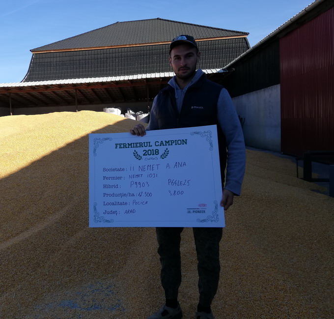 Hibrizii de Floarea Soarelui Pioneer - Nemet Ana