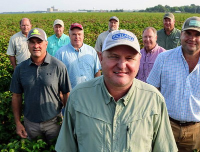 Infiintarea, organizarea si functionarea Cooperativelor Agricole