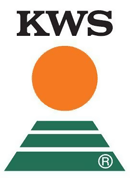 KWS Seminte - hibrizi de porumb
