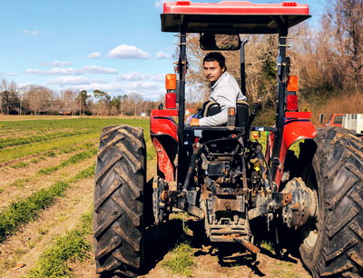 Oportunitati pentru invatamantul agricol profesional si dual la Braila