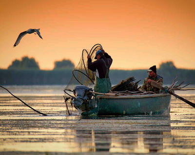 Restaurarea habitatului raurilor valorifica mai bine pescuitul in apele interioare