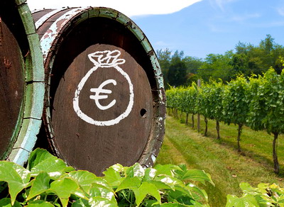 47,7 mil. euro/an pentru viticultorii romani prin Sprijinul UE acordat sectorului vitivinicol 2019-2023