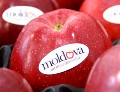 Tendintele exporturilor de produse agricole in 12 tari post-sovietice, inclusiv Moldova