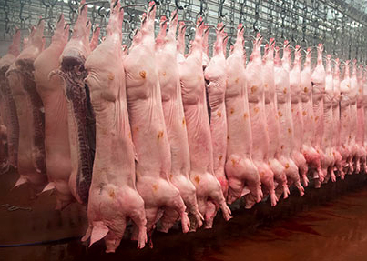 Au inceput controalele ANSVSA specifice perioadei sarbatorilor de iarna