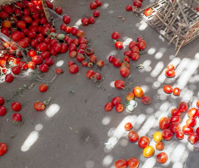 FAO sprijina Republica Moldova in reducerea risipei de alimente