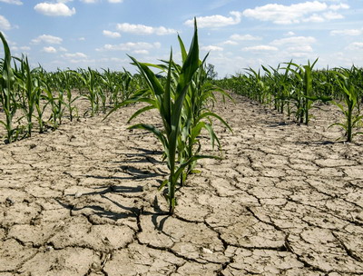 Masurile de combatere a desertificarii si degradarii terenurilor in UE sunt lipsite deocamdata de coerenta