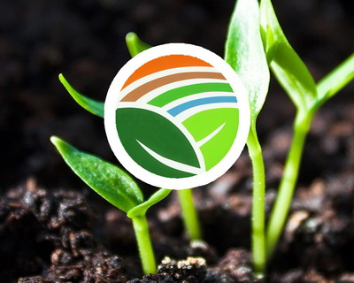 Un an pentru sarbatorirea plantelor – ONU proclama anul 2020 Anul International al Sanatatii Plantelor