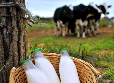 Plafoanele si cuantumul alocat schemelor de sprijin cuplat in sectorul zootehnic 2018