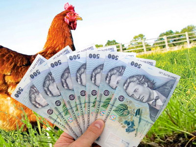Sectorul avicol: Sprijin financiar pentru reproductia, incubatia si cresterea pasarilor