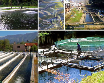 Ghidul de bune practici pentru pastravarii va fi realizat de Cercetatorii de la Cluj-Napoca