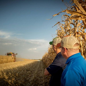 Hibrid de porumb Pioneer PR32F73