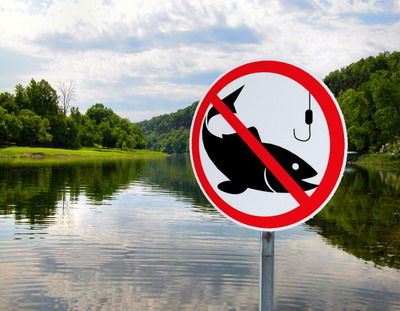 Perioadele si zonele de prohibitie a pescuitului in 2019