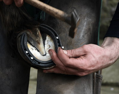 Dezvoltarea meseriei de potcovar in Romania – Conferinta ”Equi-Junior” Romania | USAMV Cluj-Napoca