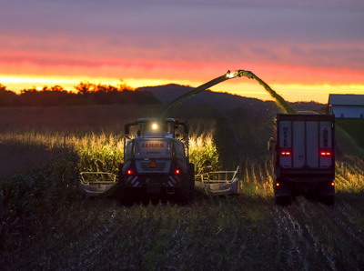 Fermierii campioni la porumb siloz cu hibrizi Pioneer