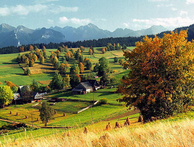 Fonduri prin PNDR 2020 disponibile pentru pomicultura procesare cooperare si infrastructura rurala