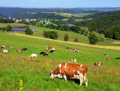 Amenajamente pastorale obligatorii din 2020