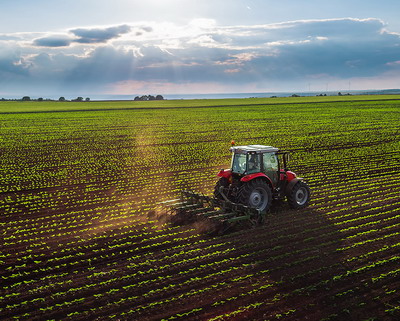Asigurarile agricole – mai accesibile pentru fermierii romani