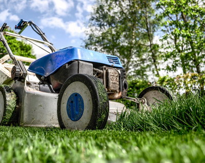 Cum alegi gazonul potrivit pentru gradina ta si cum il intretii corect – tema lunii aprilie la HORNBACH