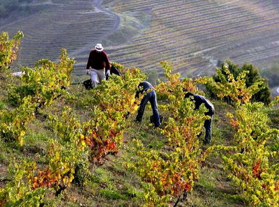 Noi prevederi si domenii de activitate pentru angajatii zilieri