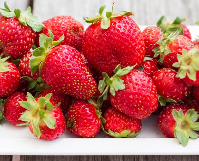 Soiuri productive de capsuni