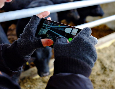 agroninja beefie™ – aplicatie mobila pentru crescatorii de bovine