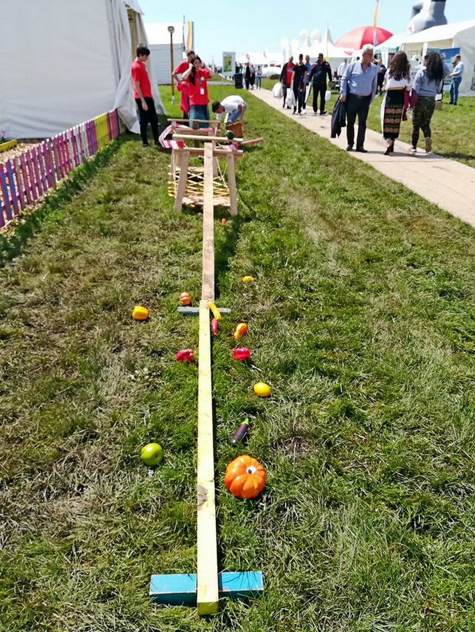 AgriPlanta-RomAgroTec 2019 - Foto10