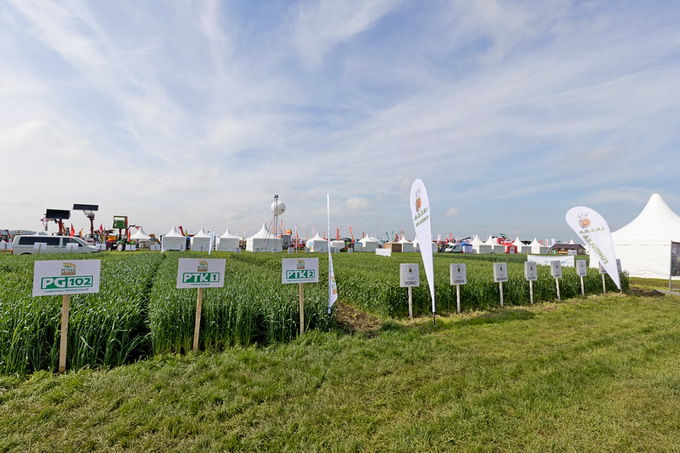 AgriPlanta-RomAgroTec 2019 - Foto8