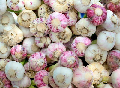 Cresterea sprijinului pentru cultivatorii de usturoi de la 1000 euro pe ha la 3000 euro pe ha