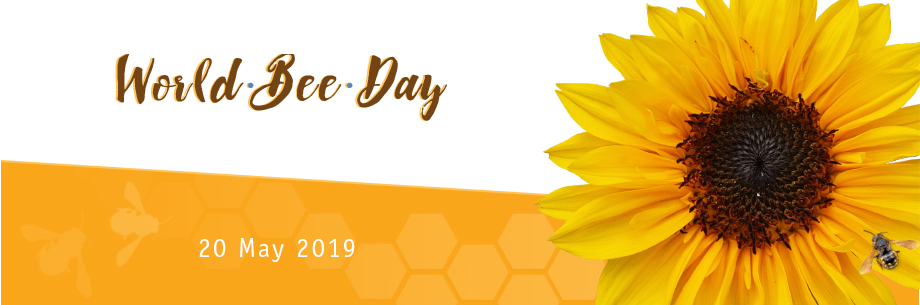 EN Banner World Bee Day