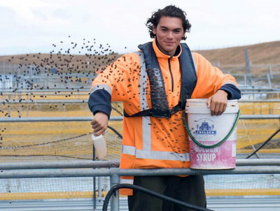 Fonduri aprobate pentru angajarea tinerilor in agricultura