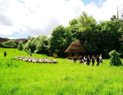 Aflati totul despre obiceiul ‘Impreunisul – Masurisul Oilor’ in Parcul Etnografic Romulus Vuia