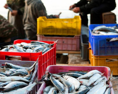 Programul de sustinere a producatorilor din sectorul pescuitului si acvaculturii