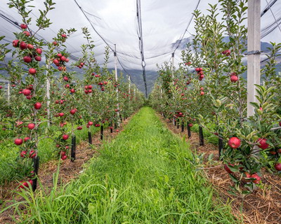 Sisteme antigrindina achizitionate cu fonduri europene disponibile prin PNDR 2020