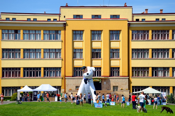 Ziua Interactiunii Om-Animal - ZIOA 2019