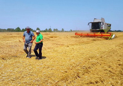 A inceput campania de recoltat la orz si orzoaica