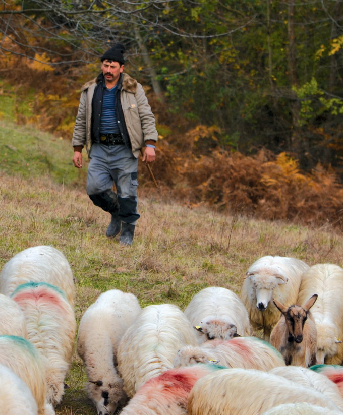 Agricultura ecologica in Romania - Studiu World Vision Romania