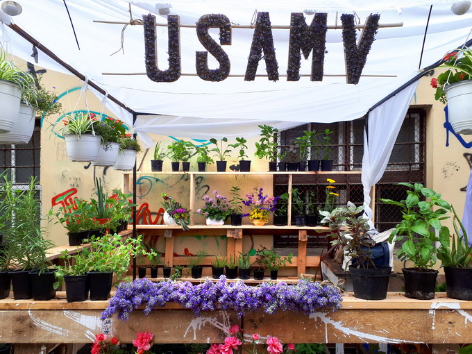 Piata de flori altfel 2019 - Plante aromatice uleiuri esentiale arbusti la ghiveci si jardiniere cu stoloni de capsuni oferta USAMV Cluj-Napoca