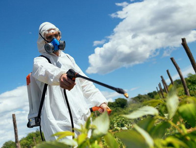 Colaborare ANF si AIPROM pentru promovarea utilizarii responsabile a produselor de protectie a plantelor