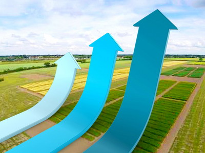 Valoarea productiei agricole a crescut cu 7,2% in 2018