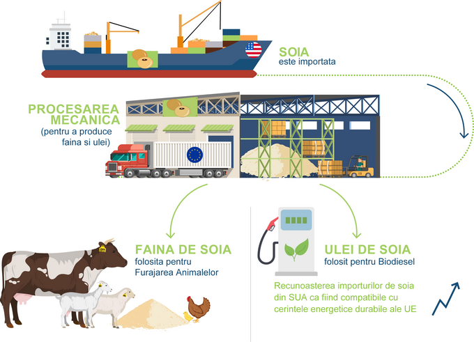 Negocierile comerciale UE-SUA - Progrese inregistrate in comertul cu soia si carne de vita