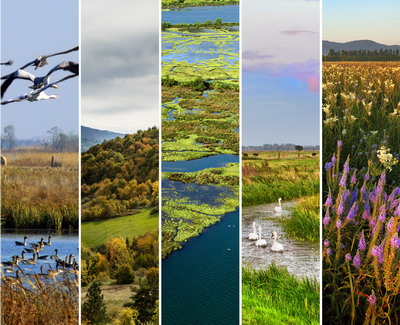 CE solicita Romaniei, Poloniei si Portugaliei sa finalizeze reteaua Natura 2000