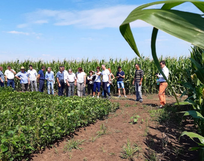 Ziua portilor deschise la Centrul de Testare a Soiurilor din Ludus - Foto 3