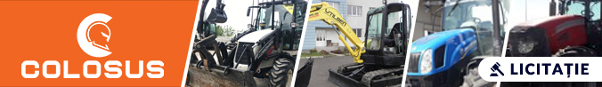 COLOSUS - licitatia