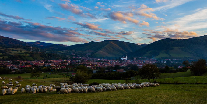 Festivalul Branzei si Tuicii la Rasinari