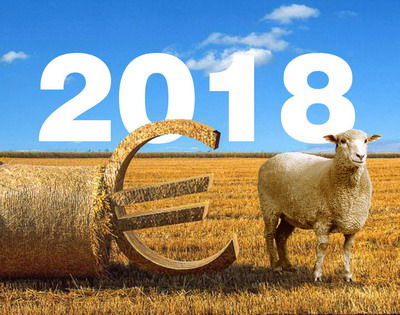 In ultima luna au fost autorizate plati APIA in valoare de 10,56 milioane euro