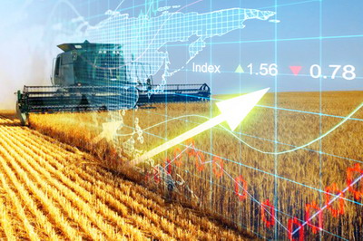 AgroGo: pretul cerealelor la burse a avut ieri o evolutie dramatica