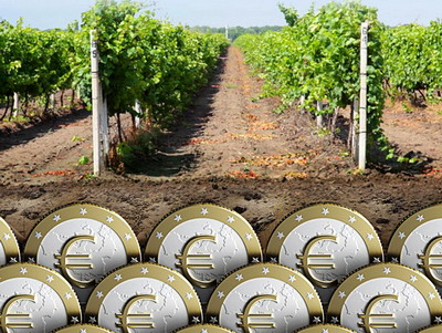 Sprijin financiar acordat viticultorilor romani pentru restructurarea/reconversia suprafetelor de vita-de-vie